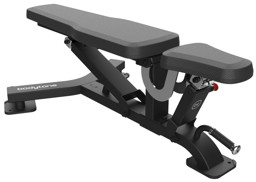 Zeige Details für BODYTONE Forza Bold Multibank Bild von BODYTONE Forza Bold Multibank