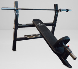 Zeige Details für Watson Olympic Incline Bench Bild von Watson Olympic Incline Bench
